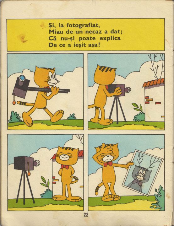 Miau O Pisica Galbena Si Mica G Zarafu Ilustratii De N